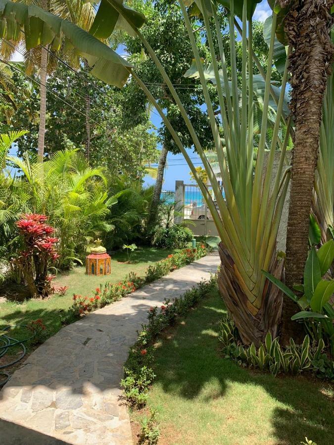 Beach Hotel Casa Nina Лас Терренас Экстерьер фото